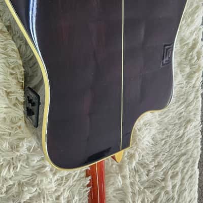 Tagima Canada Series Vancouver acoustic-electric guitar with hardshell case image 9