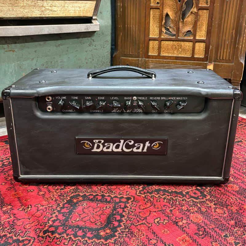 2009 Bad Cat Hot Cat 30R 30-Watt Guitar Amp Head with Reverb image 1