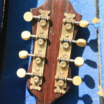 ANTIQUE ITALIAN BOWLBACK MANDOLIN *VIDEO* FULLY RESTORED EARLY 1900s image 6