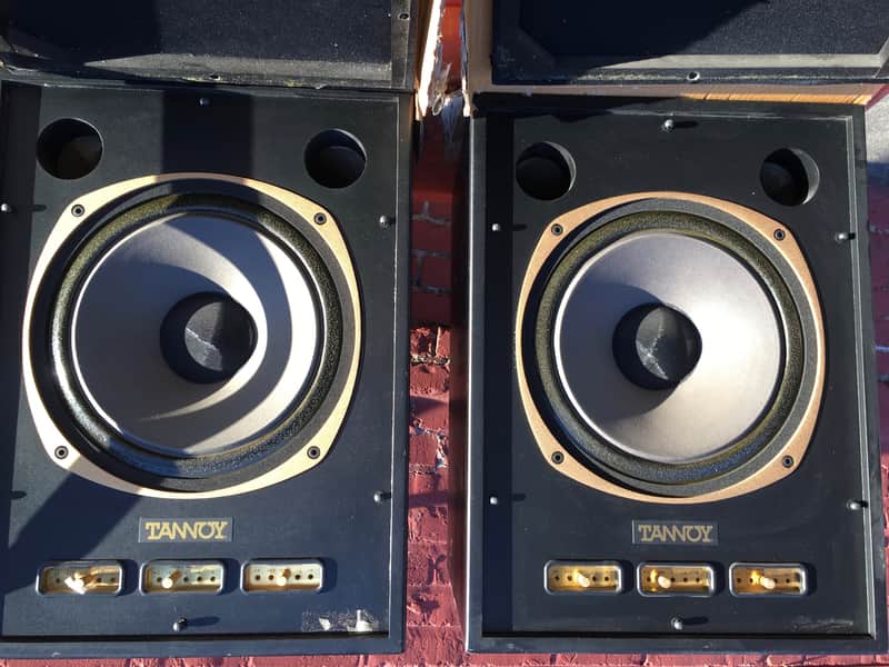Tannoy SGM-15 1992 Black imagen 1