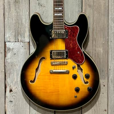 Jay Turser  JT134DC 335 Style Semi-Hollowbody Electric Guitar - Sunburst, Ships Fast with A Pro Set Up! image 2