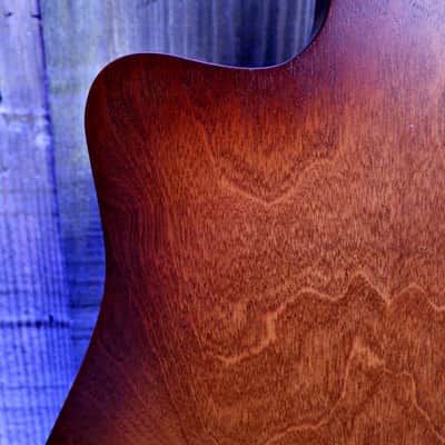 Seagull Entourage CW Presys II - Autumn Burst image 21
