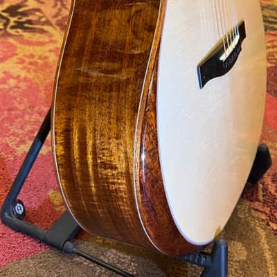 Eastman AC522CE  Natural image 3