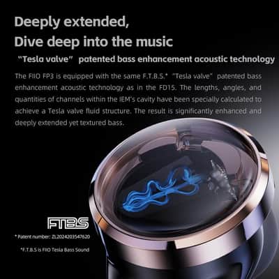 FiiO FP3 HiFi 14.5mm Planar Diaphragm Driver in Ear Earphone IEMs, with Solid Wood faceplate, Detachable 0.78mm 2Pin IEM Cable for Musician Singer Audiophile (Black Walnut) image 7