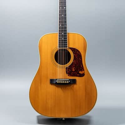 Gallagher G-70 1971, Natural image 6