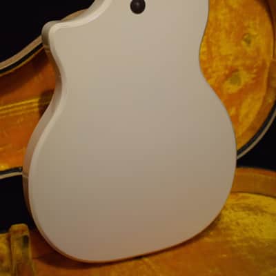 Supro  Dualtone 1960 image 5