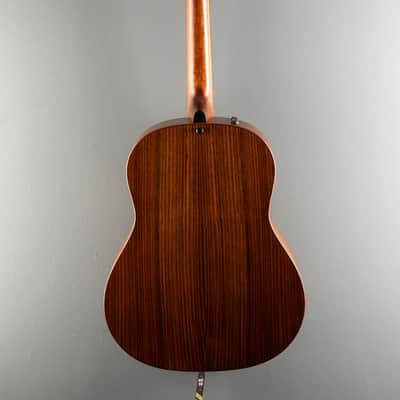Taylor USED Builder's Edition 717E '22 image 5