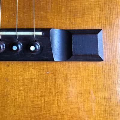 c. 1920 Chicago-made Parlor Guitar by Montgomery Ward & Co image 11