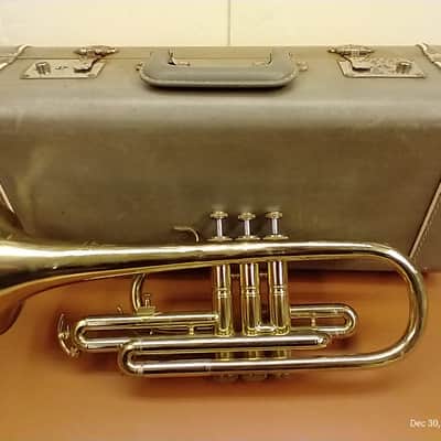 York Senator Cornet image 1