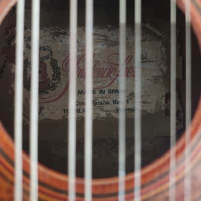 Mandolino Prudenzio Saez image 3