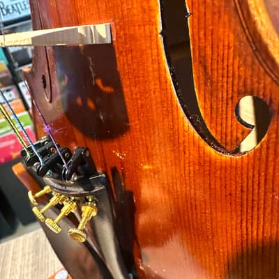 Intermediate 4/4 Violin: Strumenti a Corde 6400 Style B 2019 - Oil varnish image 13