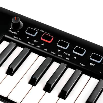 IK Multimedia iRig Keys 2 37-key MIDI Keyboard Controller image 3