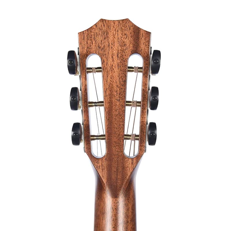 Taylor 322ce 12-Fret Tasmanian Blackwood image 7