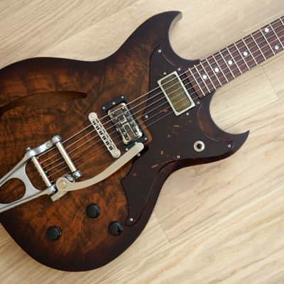 2015 Echopark Custom Crow Case Study Boutique Semi-Hollowbody Electric Guitar w/ ohsc, QOTSA image 1