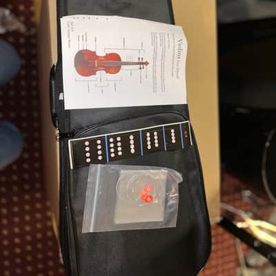 Cecilio Mendini 4/4 Violin - Black Sparkle image 2