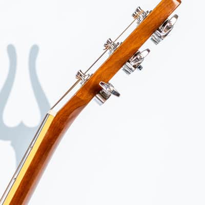 Daion MUGEN Mark II - Six String Acoustic image 16
