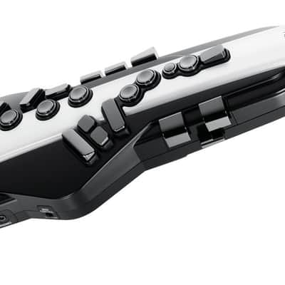 Roland Aerophone AE-20 Digital Wind Instrument image 1