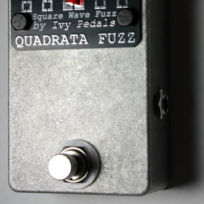 Ivy Pedals Quadrata Fuzz - Silver 2026 image 4
