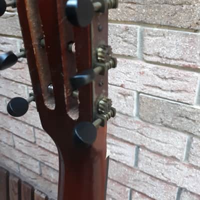Vintage 1930s Regal Pearloid Parlor Guitar PreWar image 13
