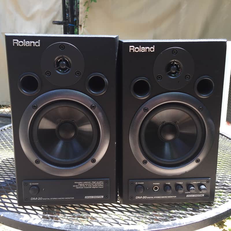 Roland DM-20 Powered Studio Monitors image 1