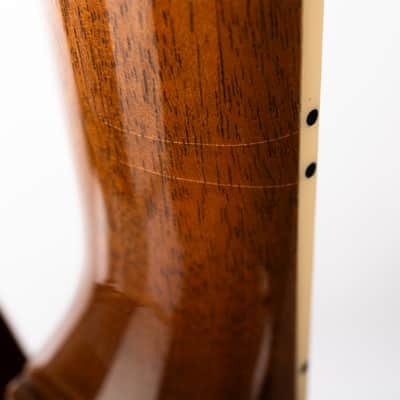 Gibson Les Paul Studio Session, Honey Burst | Demo image 13
