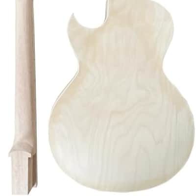 DIY Single Cut Electric Guitar Kits with Mahogany Body and Neck - Rosewood Fingerboard and All Components Included Beginner Kit Hollow Build Your Own Guitar image 2