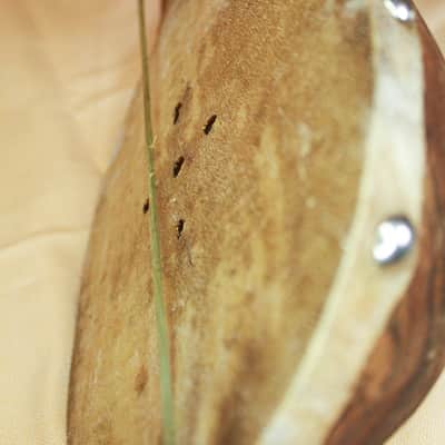Albanian Lahuta, Lahute instrument (gusle) image 15