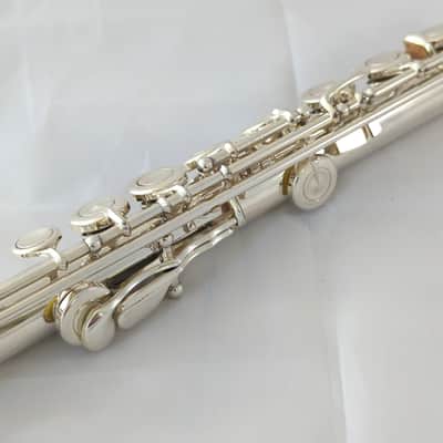Immagine Recent Sankyo Etude PA flute ST-2 cut solid silver head closed hole - 6