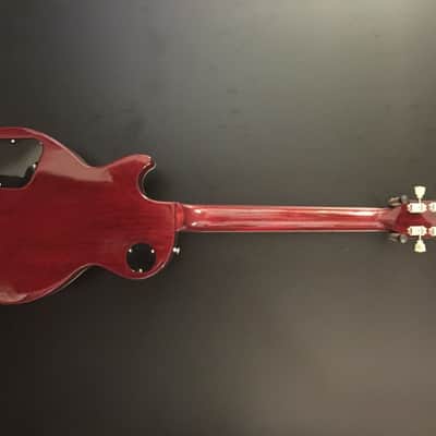 Gibson Les Paul Snake Pit image 3