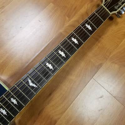 Esteban American Legacy Starlight Limited Edition Acoustic Electric Guitar image 5