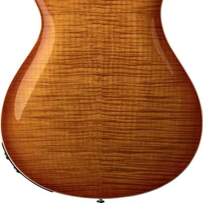 PRS SE Hollowbody II Piezo Electric Guitar, Ebony Fingerboard, Vintage Sunburst image 10