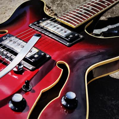 HARPTONE 420-R 1969 - Sam Koontz. Ultra Rare. Collectible. Only built for one year. image 13