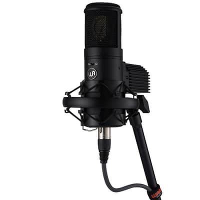 Warm Audio WA-8000 Large Diaphragm Tube Condenser Microphone image 1