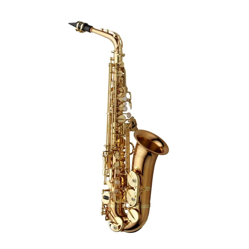 Yanagisawa Model AWO2 Professional Bronze Alto Saxophone BRAND NEW image 1