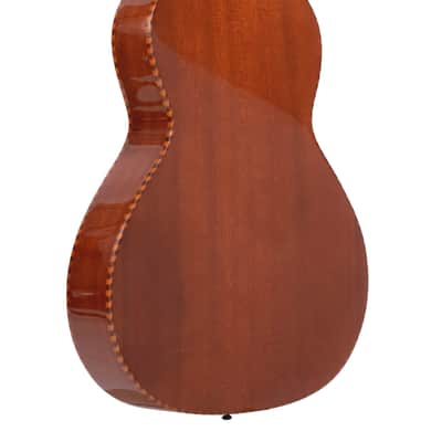 Gold Tone SM-Weissenborn+: Hawaiian-Style Slide Guitar with Case image 9