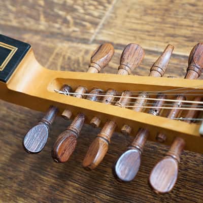 Renaissance Cittern image 20