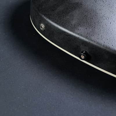 Reedman Reéd Man Model No. 601 Acoustic Guitar image 22