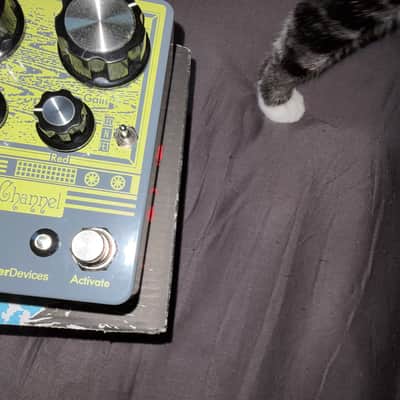 EarthQuaker Devices Gray Channel Dynamic Dirt Doubler | Reverb