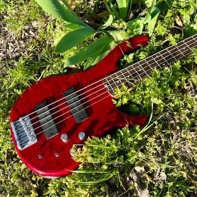Peavey Fury V 2007/2008 5 String Bass - Upgraded Bartolini Pickups image 7