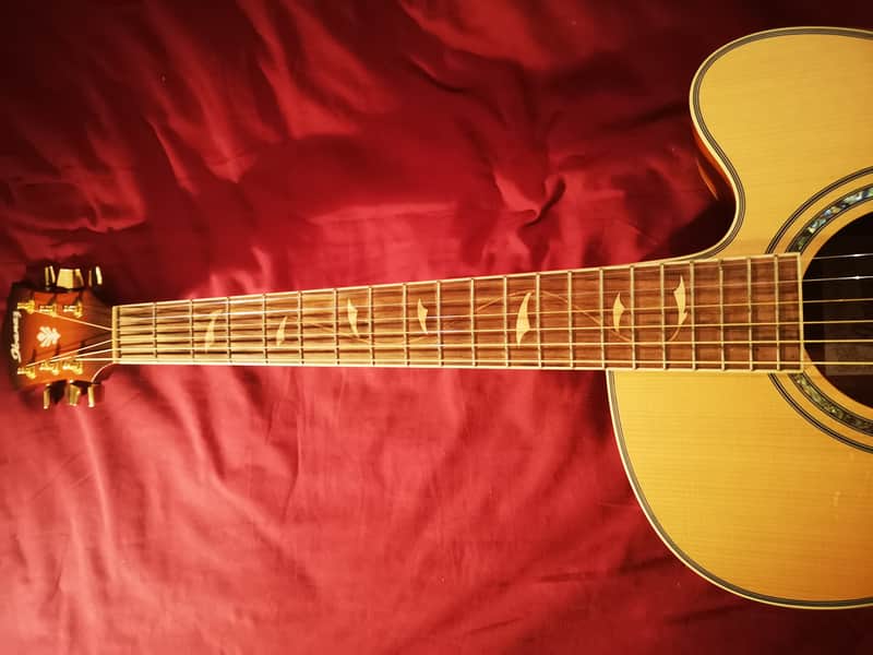 Ibanez AEL40SE-RLV-1202 (Resonant Natural Low Gloss Top / Vintage