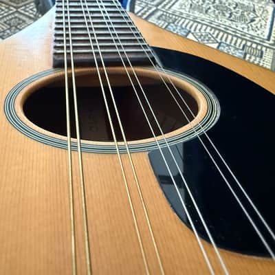 Martin A Style Mandolin 1968 image 2