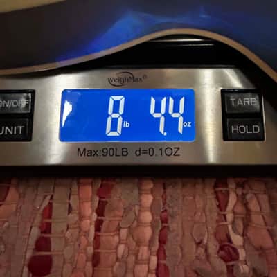 Epiphone Dave Grohl DG-335 2025 - Pelham Blue image 11