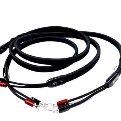 Audioquest 2 meter - Dragon Speaker Cable PSS Silver Full-Range HiFi image 2