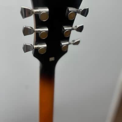 DeArmond Jazz Hollow Body with original Case image 6