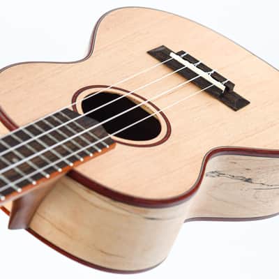 Cordoba 24T Tenor Spruce Ukuele image 12
