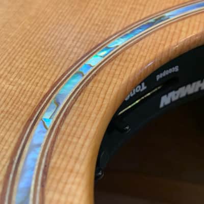 2006 Lowden F35 CX - Quilted Maple - Ex McFLY. Comes with hard shell case image 15