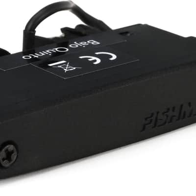 Fishman PRO-REP-BQ1 Rare Earth Active Humbucking Bajo Quinto Soundhole Pickup image 3