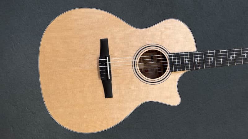 Taylor 314CE-N image 1