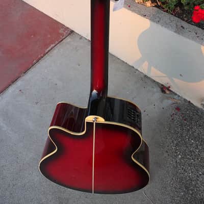 Ibanez AEL20-TRS-14-01 image 10