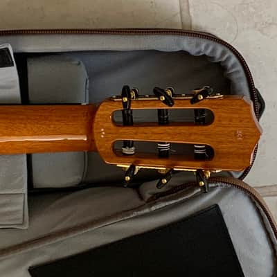 Cordoba Stage guitar Thinline Classical 2022  Town flame image 5